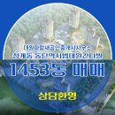 대원파랑새공인중개사사무소 이미지