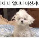 합정초등학교 네이버블로그