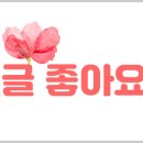 신로얄공인중개사사무소 이미지