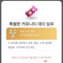 데이블룸