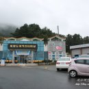 유자사랑농원 이미지