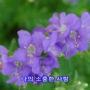 원프러스 이미지