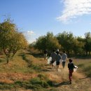 연합농장 이미지