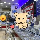 안경나라 야탑점 | 베라왕 선글라스 조절 야탑역 안경점 안경나라 방문 후기