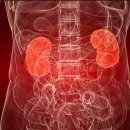 지성한의원 이미지