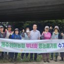 하례2리 이미지