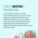 오션 캣 네이버블로그