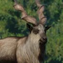 마코르(주) 이미지