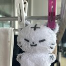 그루밍 호찌 이미지