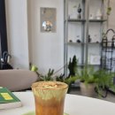 감성커피양산물금점 | [양산 물금 카페 '그린파머시']감성적인 예쁜 디저트 카페 추천, 혼카후기