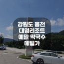 홍천막국수 이미지