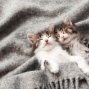 검단종합동물병원 이미지