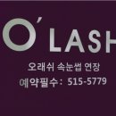 오래쉬(O’LASH) 헤럴드경제