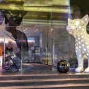 메르디안세탁 이미지