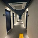 블루닷 포쉬텔 이미지