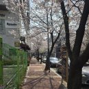 천사마을컨설팅 | 커피랩] 종로 이화벽화마을 한옥카페 하이엔드 커피...EP 이전 설치 후기 (ft. 송중기 드라마 '마이...
