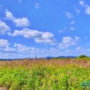 적교장모텔 이미지