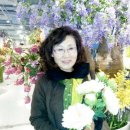 사랑의꽃집 이미지