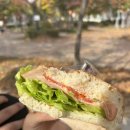 글꽃초등학교 앞 이미지