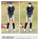 퍼펙트프로 이미지