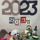 라이크멍 이미지