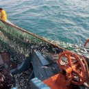 해광산업 이미지