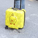헬로우덕