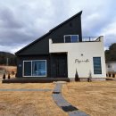 퍼즈 인 윌로우 이미지