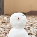 금강송사회적협동조합