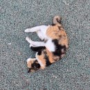 동대전농협 앞 | 250815-250816 엄마와 1박2일 서울/대전 여행