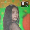 조이드림 Daum카페