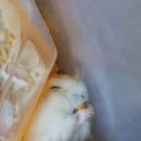 냠냠 - 안산시 단원구 | 냠냠