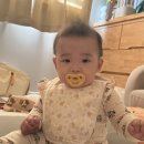 깨금발어린이집 | 시골쥐와 서울쥐 - 260일