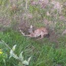 영광자동차병원 이미지