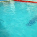 Helen Doron Swimming Centre 헬렌도론 스위밍센터 이미지