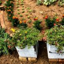 안흥종묘사 이미지