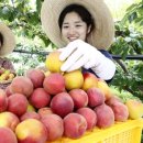 플럼 - 용인시 기흥구 사은로 116 | 플럼