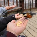 오봉산 맨발 등산로 이미지