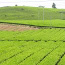 사북장여관 이미지