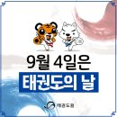 연세대 태권도 이미지