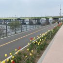 해빛 편의점 이미지