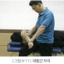 (치료)Biceps 근육 기능적 마사지/스트레칭 이미지