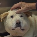 봉희농장 이미지