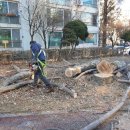 태진자원 이미지