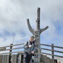 이모하여행사 이미지