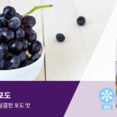 케이맘바 네이버블로그