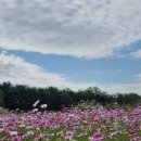 수진축구장 이미지