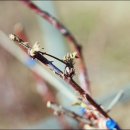 황가네농장 이미지