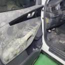 푸른크리닝 | "차 문 열고 기절할 뻔했습니다.. 아산 실내크리닝 곰팡이 완벽 제거 후기"