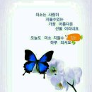 산사랑산약초 이미지